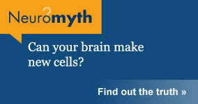Neuromyth: Can your brain make new cells/